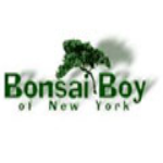 <br />
<b>Warning</b>:  Undefined variable $sec_name in <b>/home/stusyluk/discountcrown.com/store.php</b> on line <b>126</b><br />
Bonsai Boy 